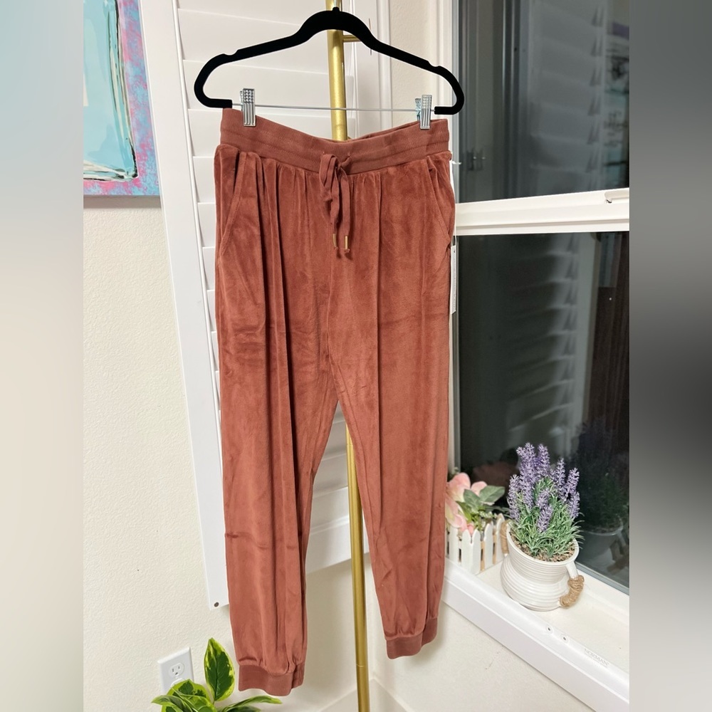 NWT Young fabulous and broke jogger pants
